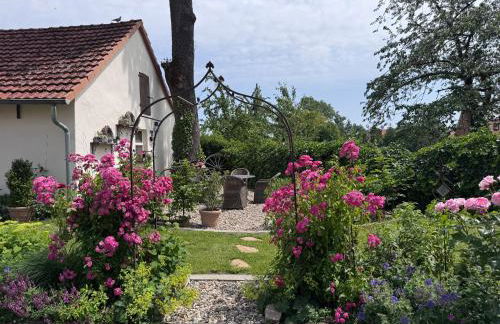 Hof Sandfort - Foto 25