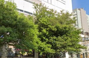 Apto central completo 3 dormitórios - Foto 12