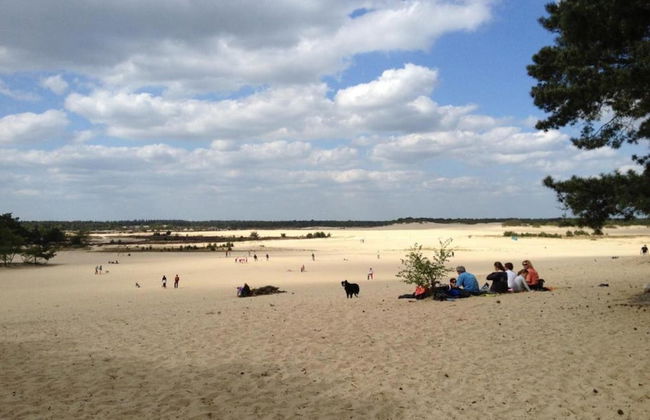 Lodge in Duinhoeve Near Dunes & Playground - Photo 25