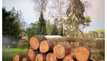 The House Stiller Grund - Photo 2