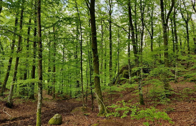 3 Person Holiday Home in Hunnebostrand-by Traum - Foto 14