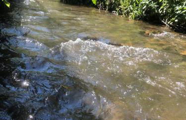 Ferienwohnung Schlossberg 3 - Foto 7