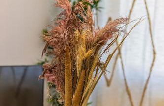 Beautiful flat in the Pyrenees * Free Parking - Foto 9