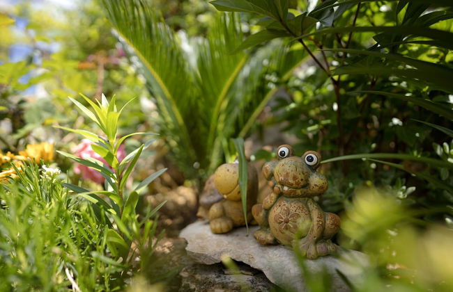 Apartments Zlata - Foto 38