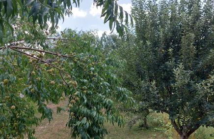 Kuća za odmor ,Erdelj 21 B - Foto 39