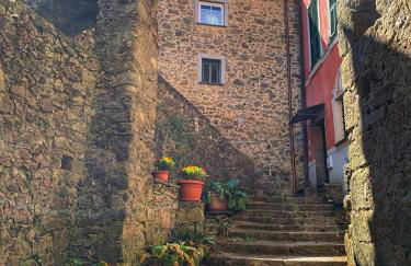 La casa dei nonni - Foto 45