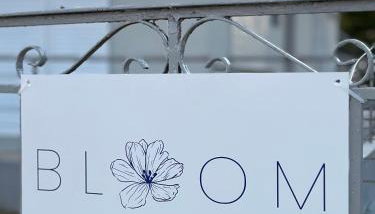 BLOOM Studios - Foto 3