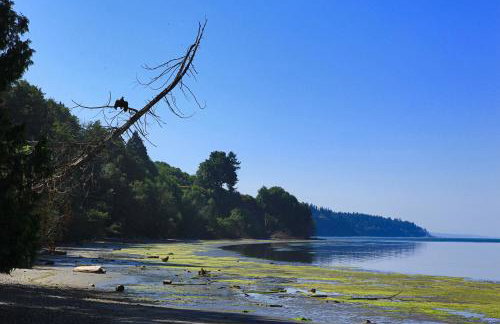 Cozy Cottage by the Sea - Foto 19