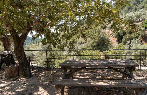 Alfabia Nou Agroturismo - Foto 58