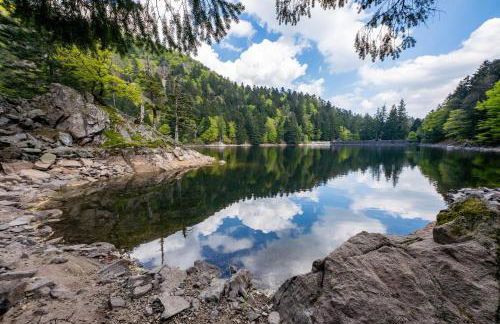 Le Chalet du Tanet spa sauna terrasse en Alsace - Foto 67