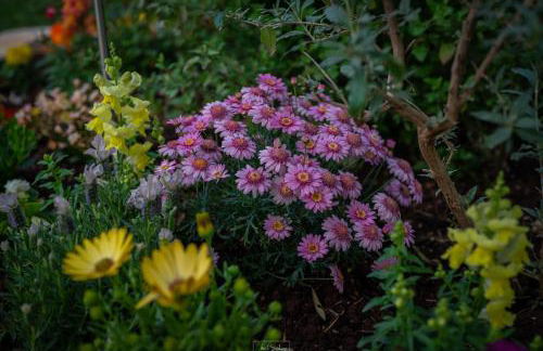 Agriturismo Country Casale Rufo - Foto 65