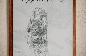 Schopplhof - panoramic apartments dolomites - Photo 33