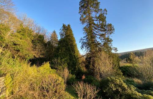 Stables Cottage - Foto 27