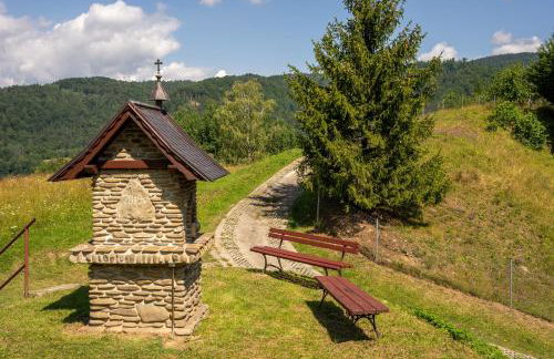 Willa Janka - Foto 40