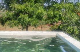 Monte das Andorinhas Alentejo - Foto 6