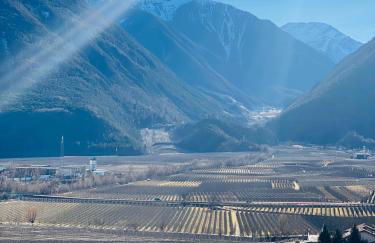 Apartments Torggl - Foto 56