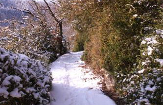 Ferienwohnungen Schenk Schmitz - Photo 46