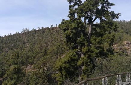 Casa Lorenzo - Apartamento en Playa de Las Américas - Foto 46