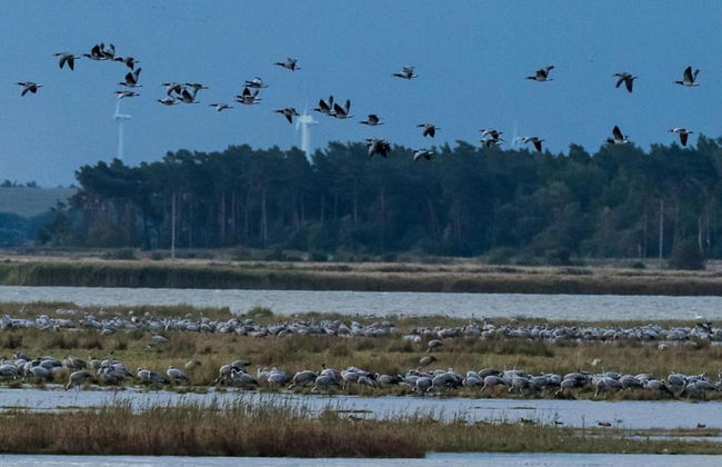 Hideaway, Pruchten- Baltic Coast - Foto 39