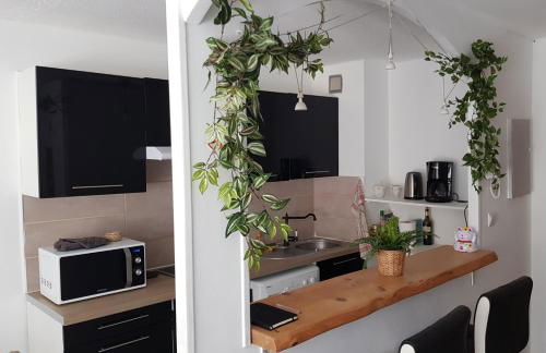 LE PETIT THAI Appart 2 PIECES ZEN CENTRE VILLE - Foto 8