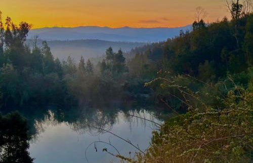 Quinta Do Pereiro - Foto 22