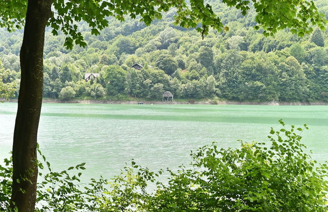 Mira by Atra - Foto 42