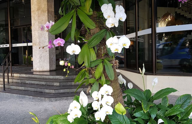 Flat Maravilhoso - Foto 39