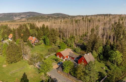 HIRSCH Hänsel Ferienhaus Garten mit Bergblick - Grill -Wald - Foto 8