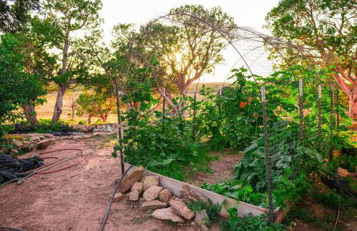 Ranch at Mesa Verde - Foto 25