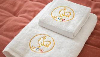 Le Coq St-Roch - Parking - AC - Swimming pool - Foto 3, towels