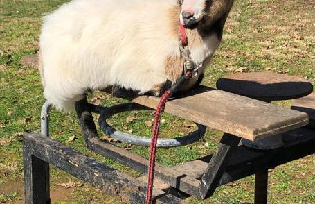 Le bon chemin Studio Stockholm - Foto 13