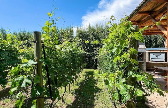 La Vita e Bella Cabanas en San Rafael - Photo 16