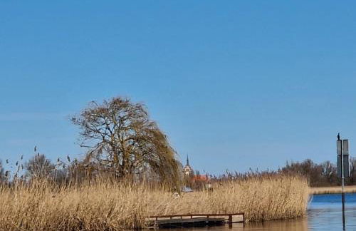 Ferienwohnung Ostklüne - Photo 17