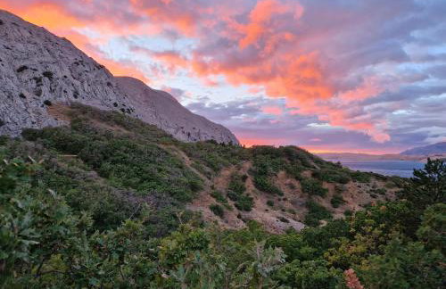 Villa Panama - Photo 8