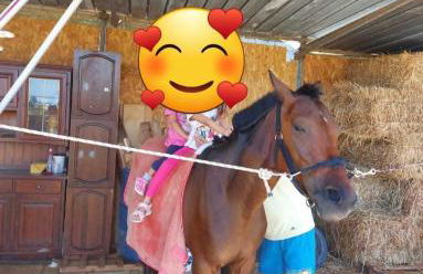 Villa Aurora Appartamento in villa con piscina - Foto 46