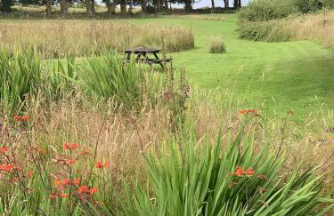 Delightful Dartmoor Apartment - Foto 12