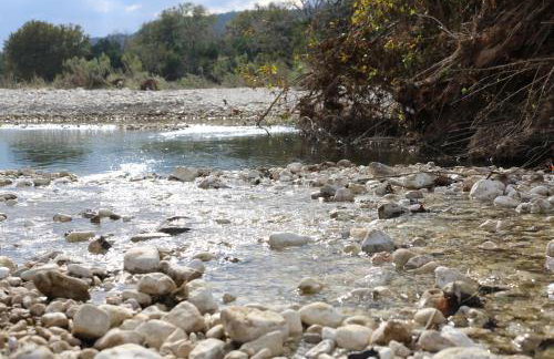 Nueces River Cabins-Pecan Cabin - Foto 11