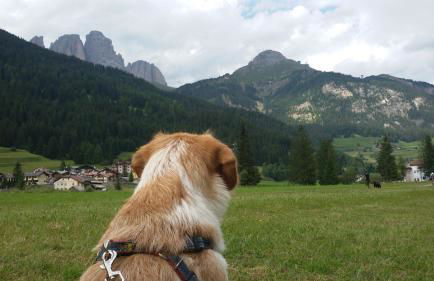 CasaMau Trilo - Foto 37