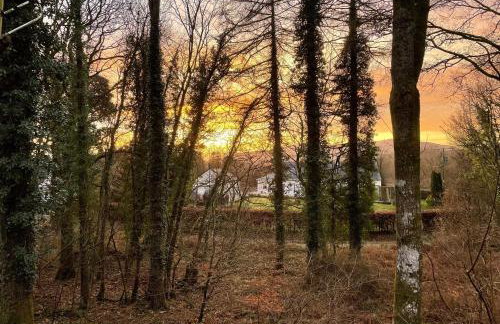 The Shack, Cally Avenue, Gatehouse of Fleet, Dumfries and Galloway, DG7 2 DH - Foto 6