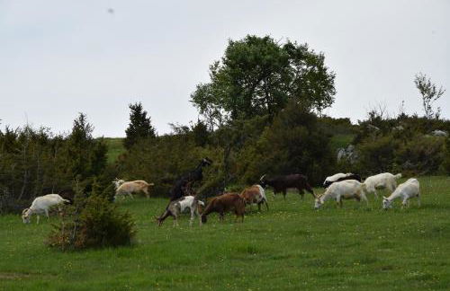 Casa Galoppa - Foto 41