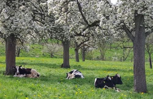 Gartenglück, entspannt wohnen am Obstwanderweg - Foto 35