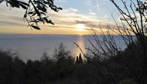 Villa Giò - Terrazza nel Blu - Foto 3
