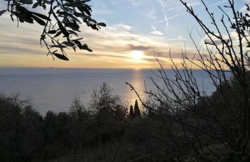 Villa Giò - Terrazza nel Blu - Foto 3