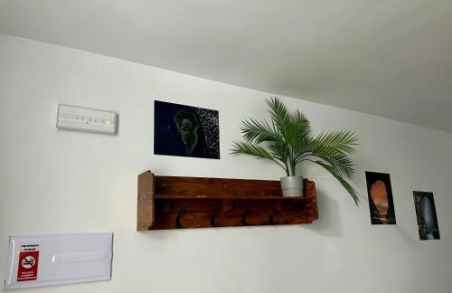 Salitre Tea - Foto 7