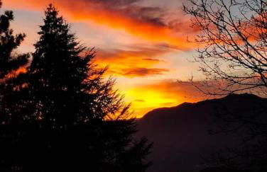 Gemütliche Ferienwohnung in Agra - Foto 19