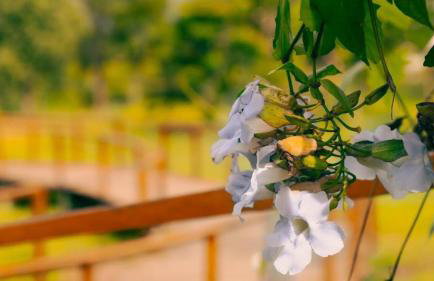 Aconchegante Apartamento de 2 Quartos - Foto 39