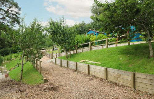 Little Silver Pheasant - Foto 27