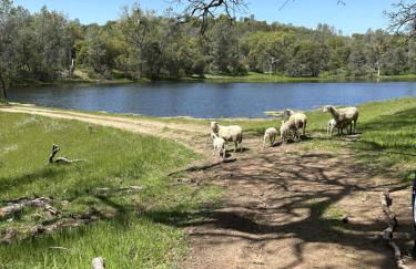 Rolling Oaks Ranch - 200 Acres of Lakeside Beauty & Countryside Serenity - Foto 10