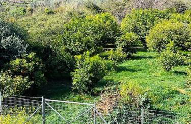 Akrata apartment - Foto 12