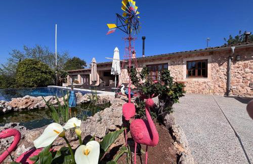 Country house Samantha & pool near Santa Maria - Foto 49